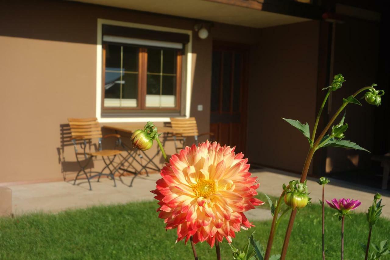Apartment Steinkellner Tröpolach Kültér fotó